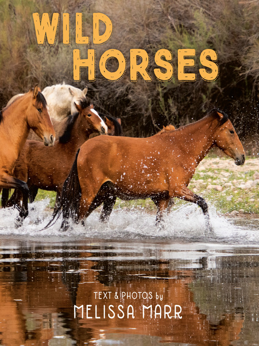 Title details for Wild Horses by Melissa Marr - Wait list